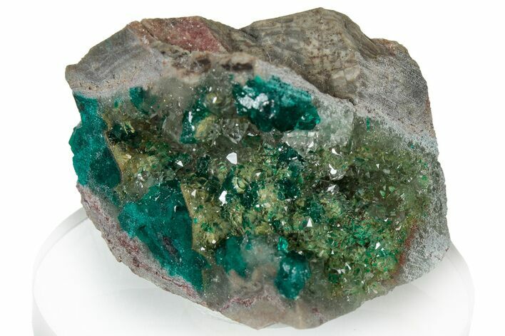 Clear Quartz Crystals with Dioptase - Sanda Mine, Congo #304365